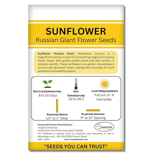 Navika Sunflower Russian Giant Flower Seeds